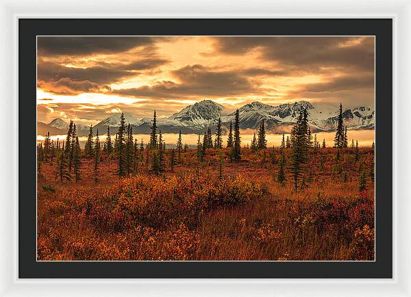 Autumn Sunrise On Denali Highway - Framed Print