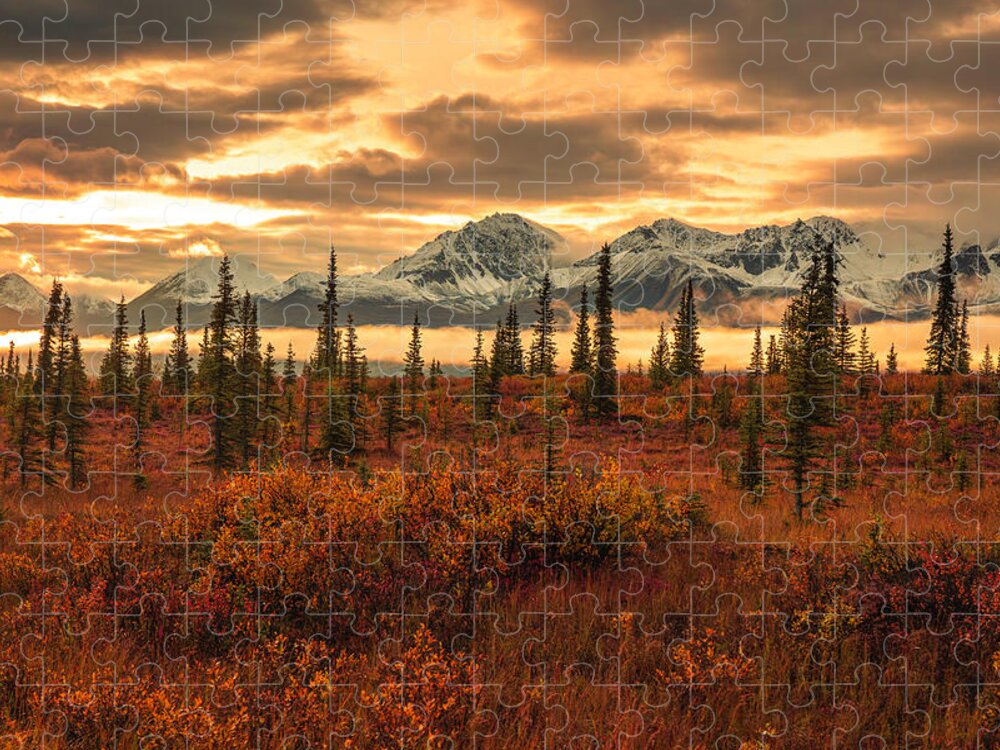 Autumn Sunrise On Denali Highway - Puzzle