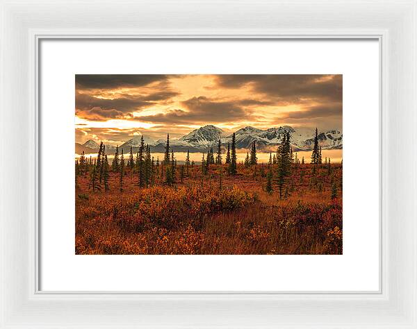 Autumn Sunrise On Denali Highway - Framed Print