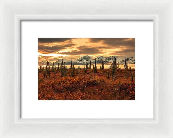 Autumn Sunrise On Denali Highway - Framed Print