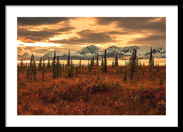 Autumn Sunrise On Denali Highway - Framed Print