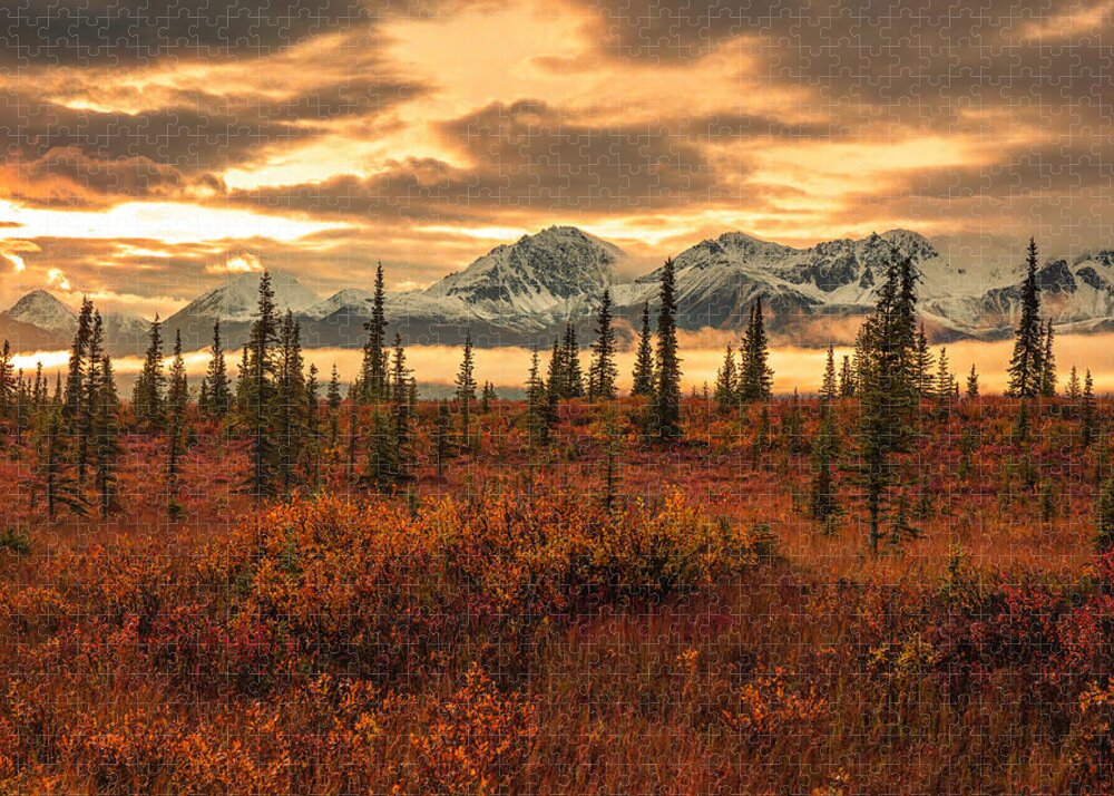 Autumn Sunrise On Denali Highway - Puzzle