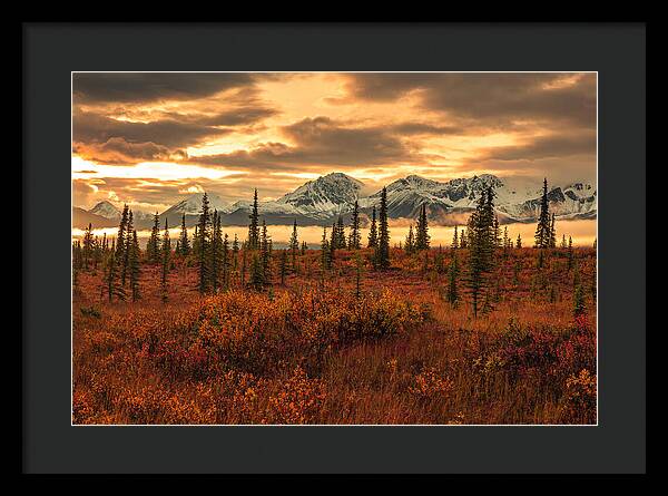 Autumn Sunrise On Denali Highway - Framed Print