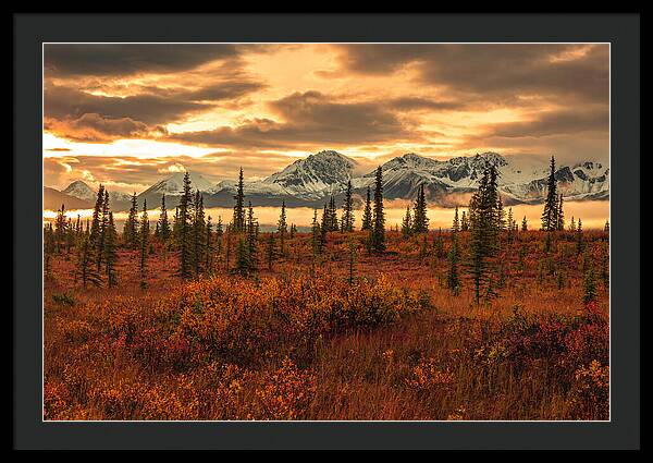 Autumn Sunrise On Denali Highway - Framed Print