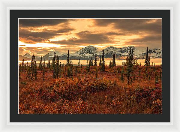 Autumn Sunrise On Denali Highway - Framed Print