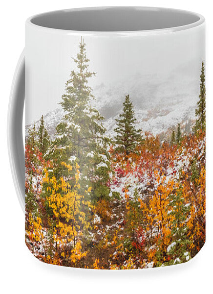 Autumn Transitions Denali Alaska - Mug