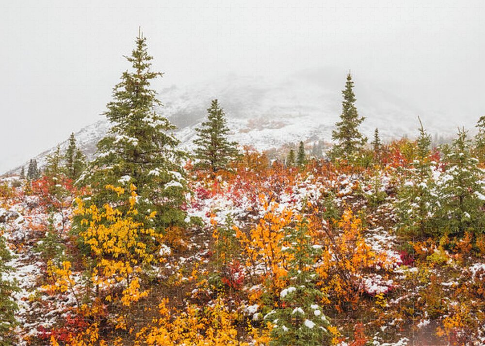 Autumn Transitions Denali Alaska - Puzzle