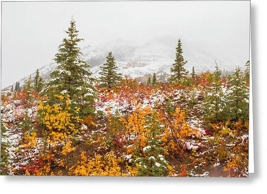 Autumn Transitions Denali Alaska - Greeting Card