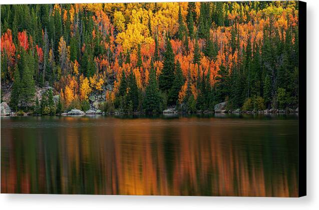 Bear Lake Autumn Reflections Colorado - Canvas Print