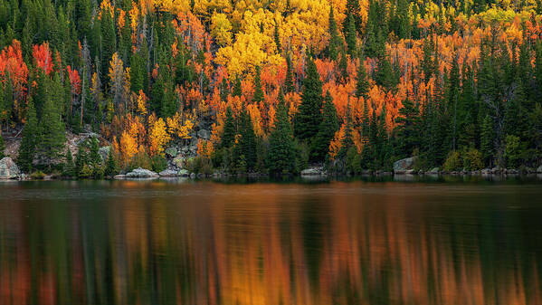 Bear Lake Autumn Reflections Colorado - Art Print