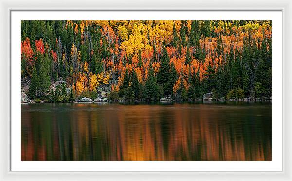 Bear Lake Autumn Reflections Colorado - Framed Print