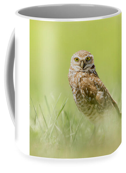 Burrowing Owl In South Dakota - Mug