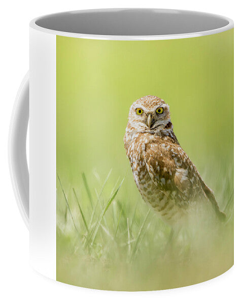 Burrowing Owl In South Dakota - Mug