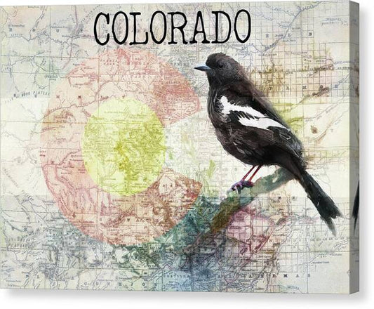 Colorado State Map And Lark Bunting - Canvas Print