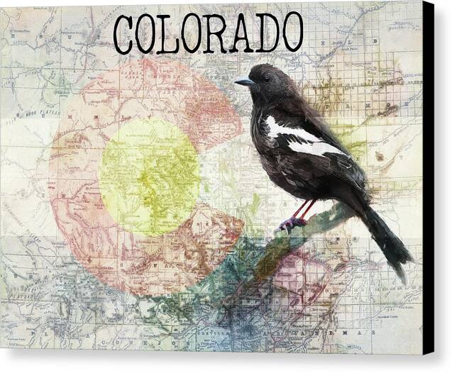 Colorado State Map And Lark Bunting - Canvas Print