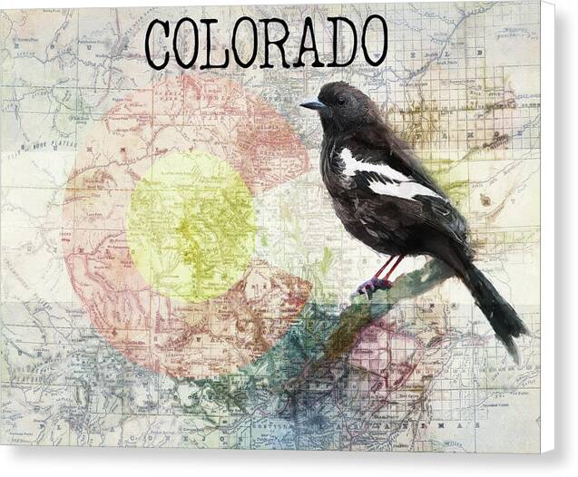 Colorado State Map And Lark Bunting - Canvas Print