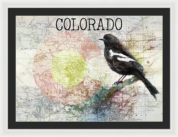 Colorado State Map And Lark Bunting - Framed Print