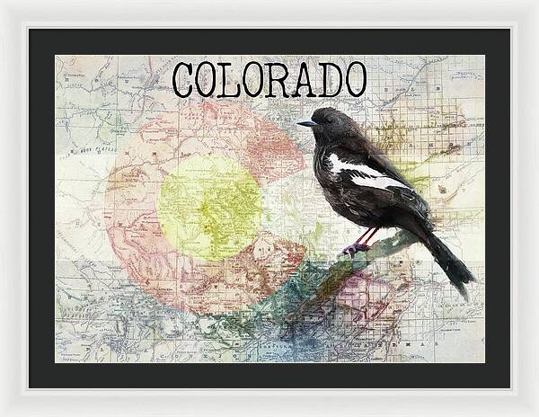 Colorado State Map And Lark Bunting - Framed Print