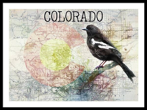 Colorado State Map And Lark Bunting - Framed Print