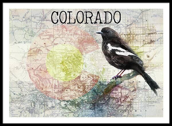 Colorado State Map And Lark Bunting - Framed Print