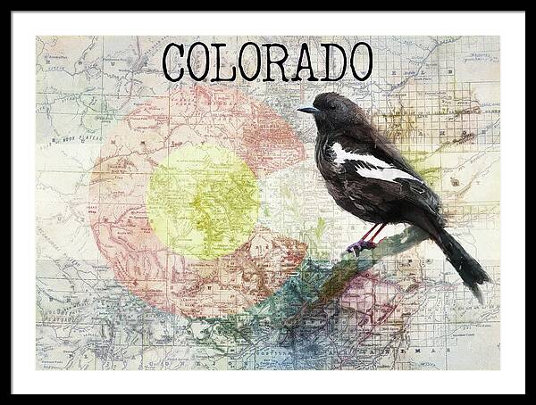 Colorado State Map And Lark Bunting - Framed Print