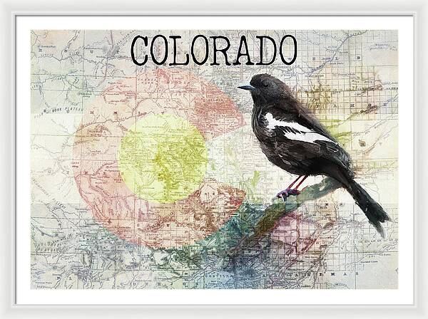 Colorado State Map And Lark Bunting - Framed Print