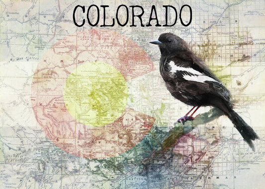 Colorado State Map And Lark Bunting - Art Print