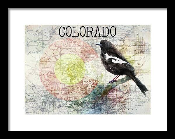 Colorado State Map And Lark Bunting - Framed Print