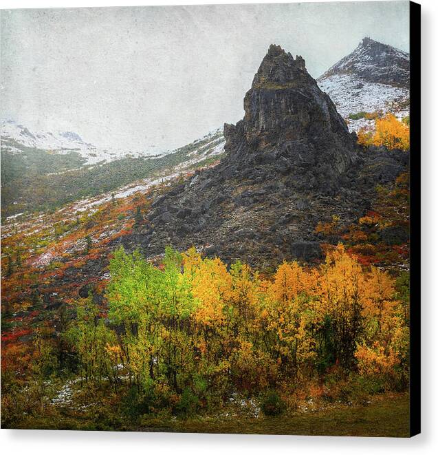 Denali Savage River Landscape In Fall - Canvas Print