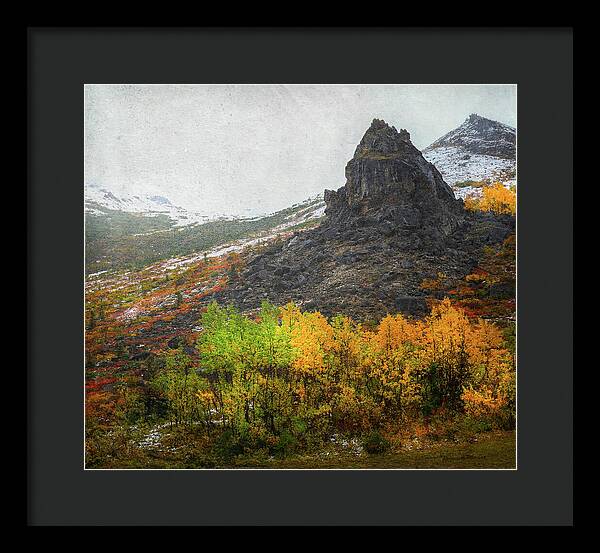 Denali Savage River Landscape In Fall - Framed Print