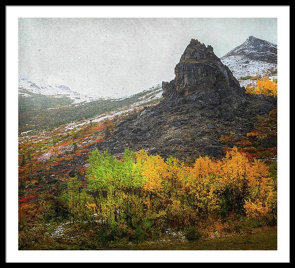 Denali Savage River Landscape In Fall - Framed Print