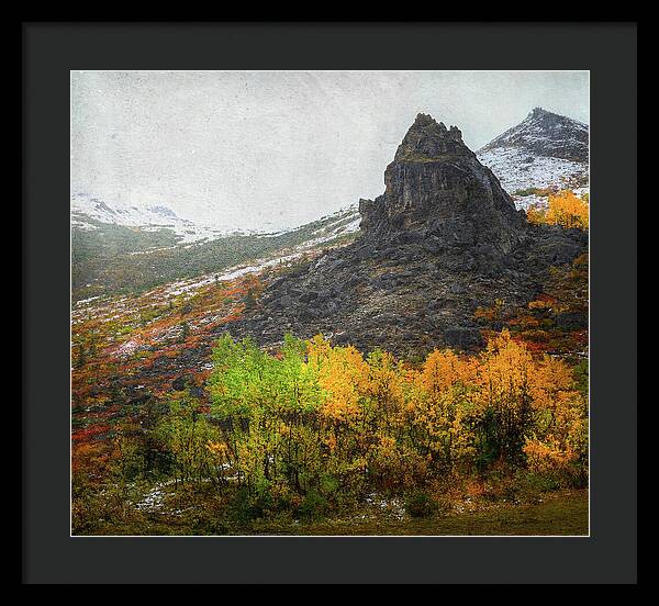 Denali Savage River Landscape In Fall - Framed Print