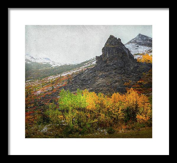 Denali Savage River Landscape In Fall - Framed Print