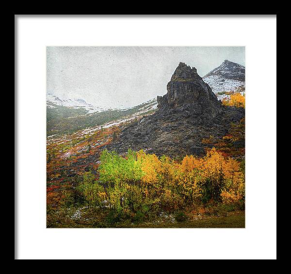 Denali Savage River Landscape In Fall - Framed Print