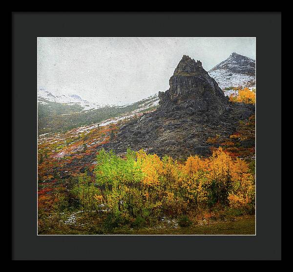 Denali Savage River Landscape In Fall - Framed Print