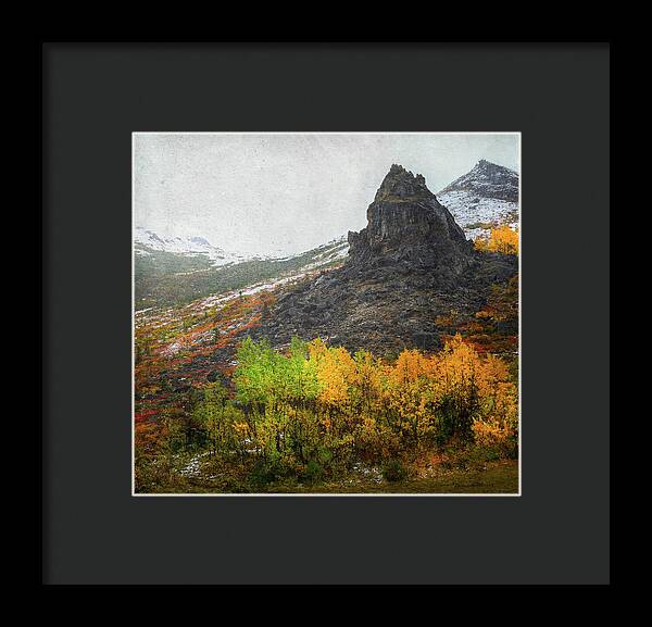 Denali Savage River Landscape In Fall - Framed Print