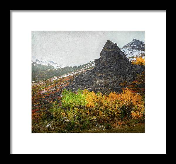 Denali Savage River Landscape In Fall - Framed Print