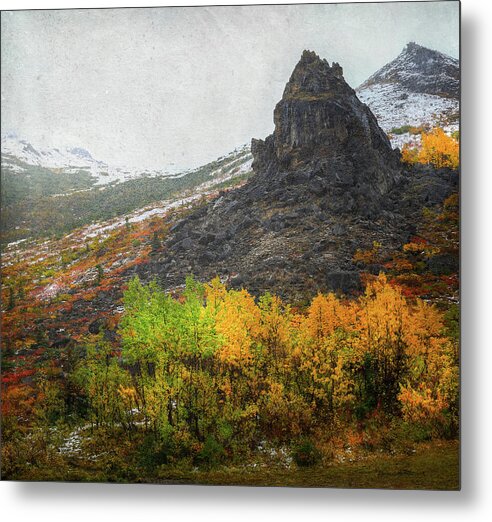 Denali Savage River Landscape In Fall - Metal Print