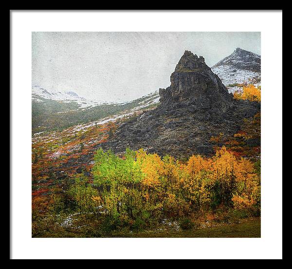 Denali Savage River Landscape In Fall - Framed Print