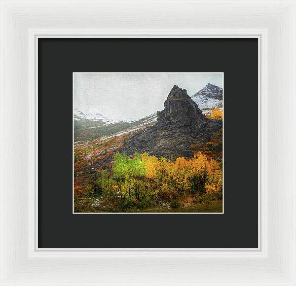 Denali Savage River Landscape In Fall - Framed Print