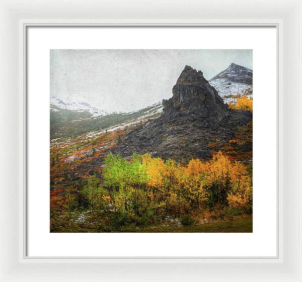 Denali Savage River Landscape In Fall - Framed Print