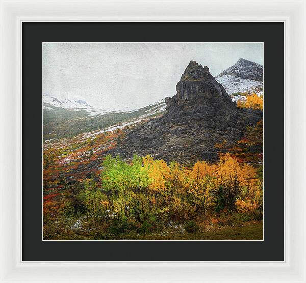 Denali Savage River Landscape In Fall - Framed Print