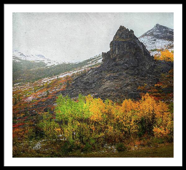 Denali Savage River Landscape In Fall - Framed Print