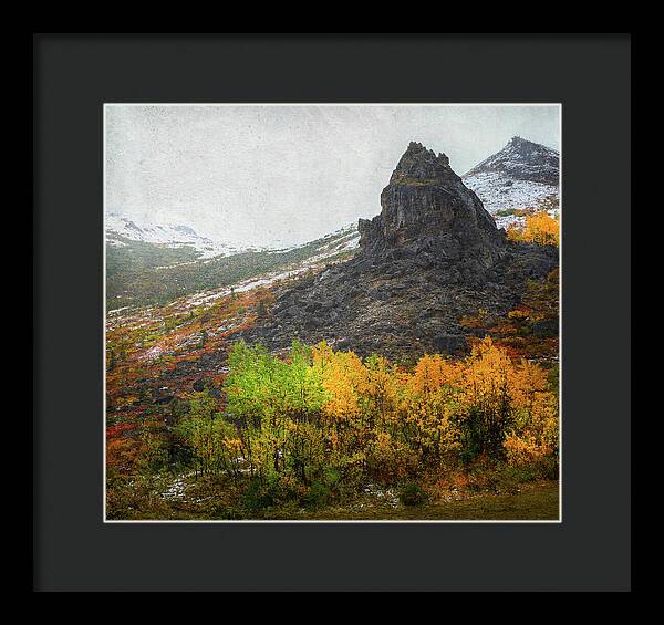 Denali Savage River Landscape In Fall - Framed Print