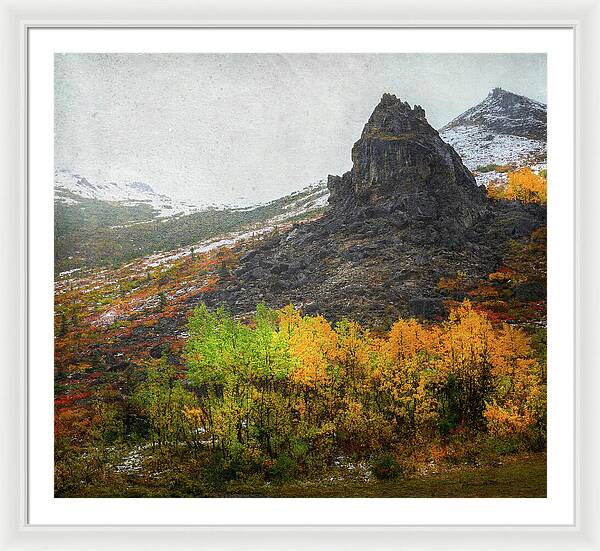 Denali Savage River Landscape In Fall - Framed Print