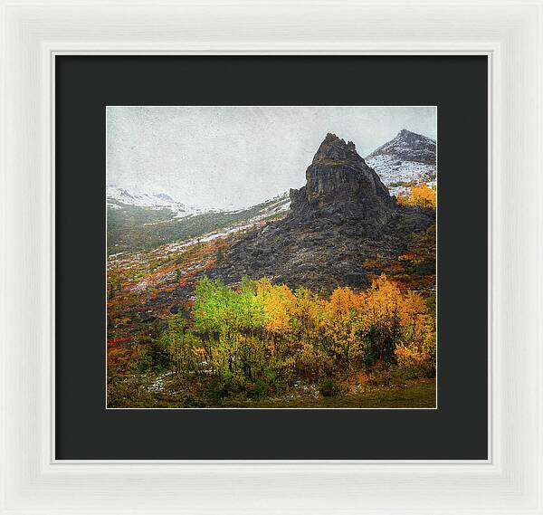 Denali Savage River Landscape In Fall - Framed Print