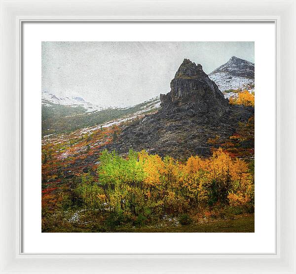 Denali Savage River Landscape In Fall - Framed Print