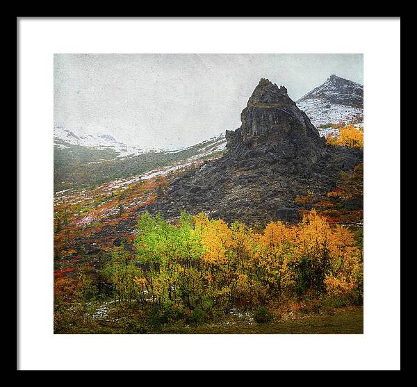 Denali Savage River Landscape In Fall - Framed Print