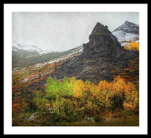 Denali Savage River Landscape In Fall - Framed Print