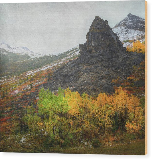 Denali Savage River Landscape In Fall - Wood Print